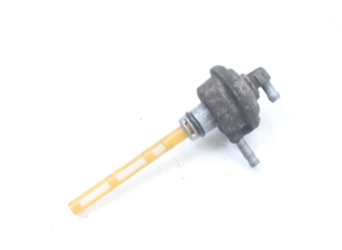 DEPRESSION RESERVOIR