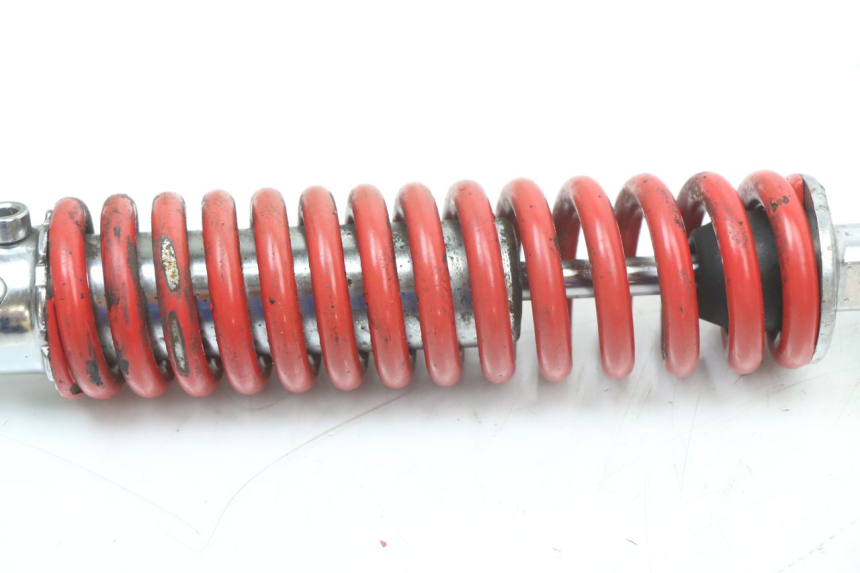 photo de Tylne amortyzatory JM MOTORS EVOLIS 4T 50 (2018 - 2022) - Widok ogólny