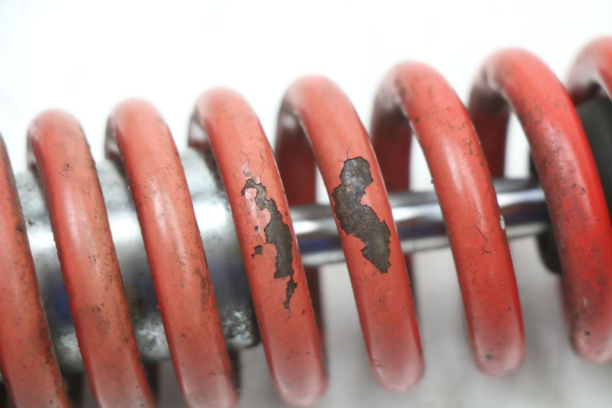 photo de Tylne amortyzatory JM MOTORS EVOLIS 4T 50 (2018 - 2022) - Stan powierzchni