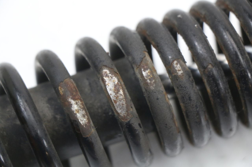 photo de Tylne amortyzatory PIAGGIO NEW TYPHOON 50 (2018 - 2021) - Widok ogólny