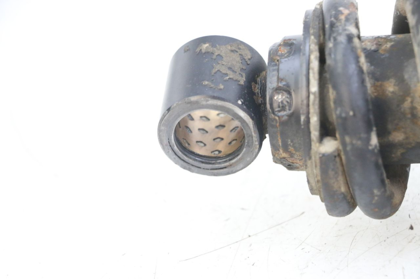 photo de Tylne amortyzatory TRIUMPH SPEED TRIPLE T301 900 (1994 - 1996) - Zbliżenie techniczne