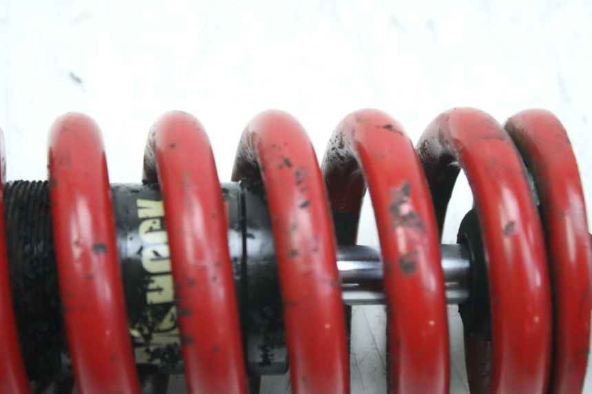 photo de Tylne amortyzatory TRIUMPH SPRINT ST 955 (1999 - 2001) - Zbliżenie techniczne