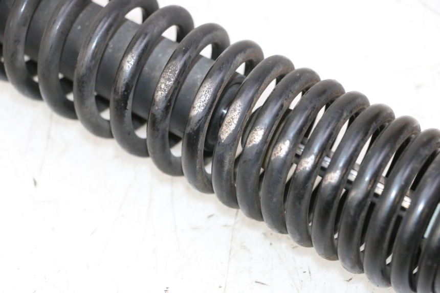 photo de Tylne amortyzatory PEUGEOT TWEET PRO CARGO 50 (2018 - 2022) - Widok ogólny