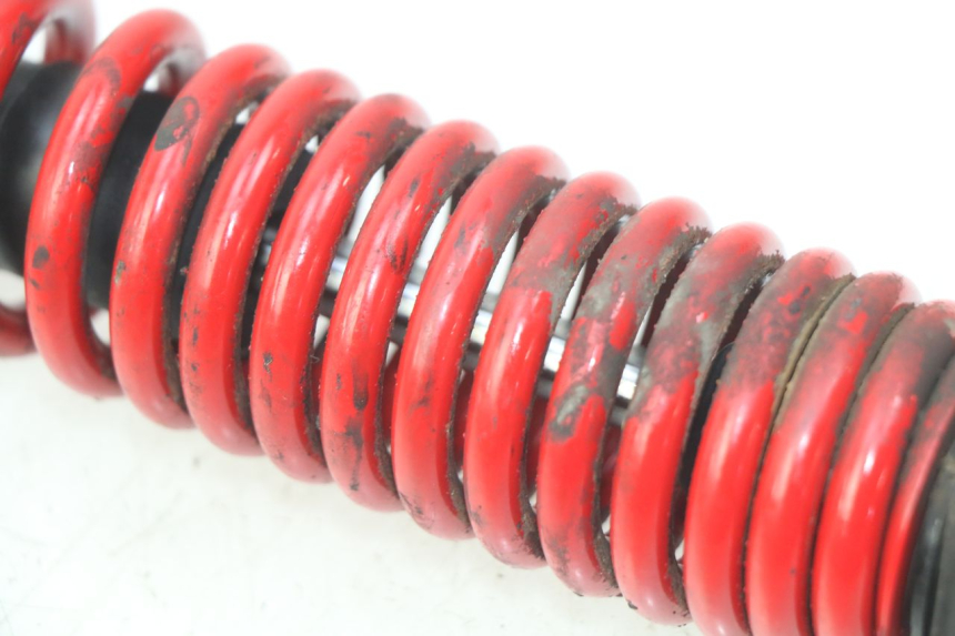 photo de Tylne amortyzatory PIAGGIO VESPA S 2T 50 (2007 - 2014) - Widok ogólny