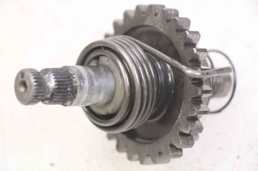 photo de WAŁEK KOPNIAKA HONDA CR 80 (2001 - 2003) - Widok główny