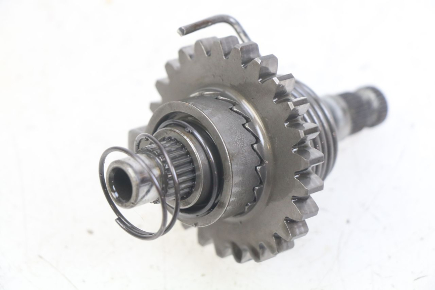 photo de WAŁEK KOPNIAKA HONDA CR 80 (2001 - 2003) - Widok ogólny