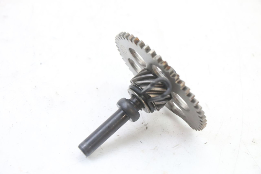 photo de WAŁEK KOPNIAKA LONGJIA SHARPY 125 (2020 - 2024) - Widok ogólny