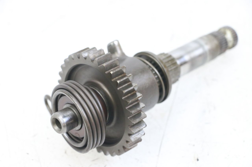 photo de WAŁEK KOPNIAKA HONDA TRX 300 (1988 - 2000) - Zoom stanu zużycia