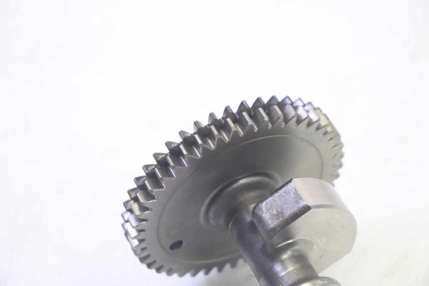 photo de Wahacz silnika SUZUKI BURGMAN EXECUTIVE ABS 650 (2006 - 2012) - Zoom stanu zużycia