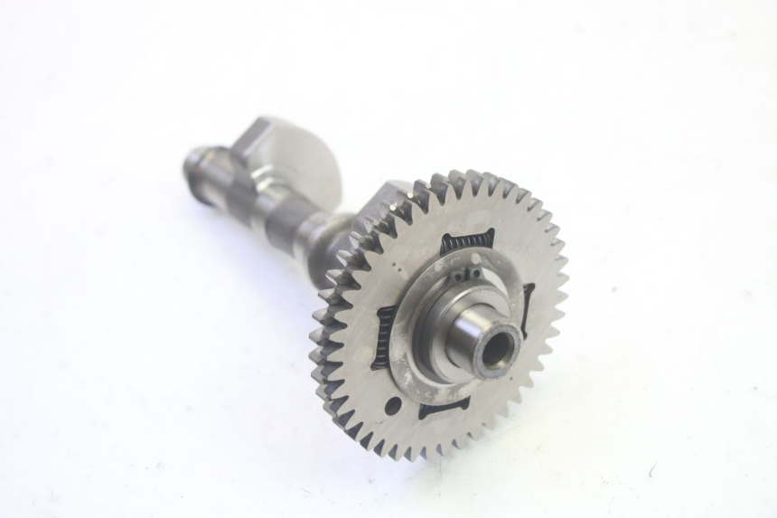 photo de Wahacz silnika SUZUKI BURGMAN EXECUTIVE ABS 650 (2006 - 2012) - Widok ogólny