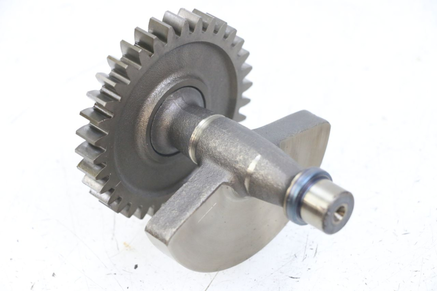 photo de Wahacz silnika HONDA TRX 300 (1988 - 2000) - Inny kąt widzenia