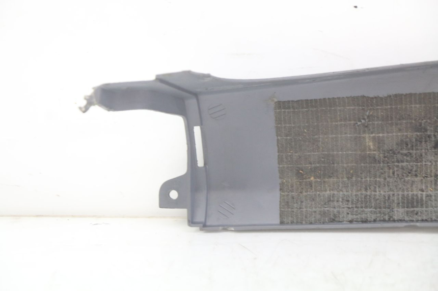 photo de PRAWA TYLNA LISTWA PROGOWA HONDA FES PANTHEON 2T 125 (1998 - 2002) - Zoom stanu zużycia