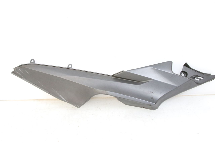 photo de LEWY PROG W SAMOCHODZIE HONDA FORZA 125 (2015 - 2016) - Widok główny