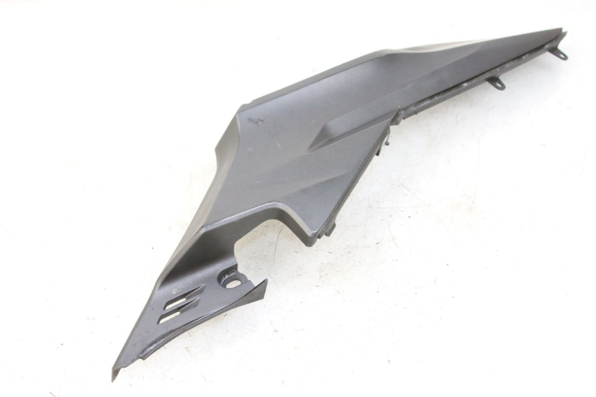 photo de LEWY PROG W SAMOCHODZIE HONDA FORZA 125 (2015 - 2016) - Widok ogólny