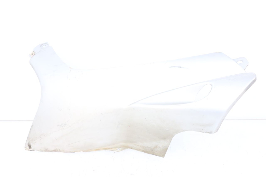 photo de LEWY PROG WLOTU POWIETRZA PEUGEOT SPEEDFIGHT 100 (1997 - 2007) - Widok główny