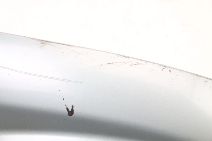 photo de LEWY PROG WLOTU POWIETRZA YAMAHA YP MAJESTY 125 (2002 - 2006) - Zbliżenie techniczne