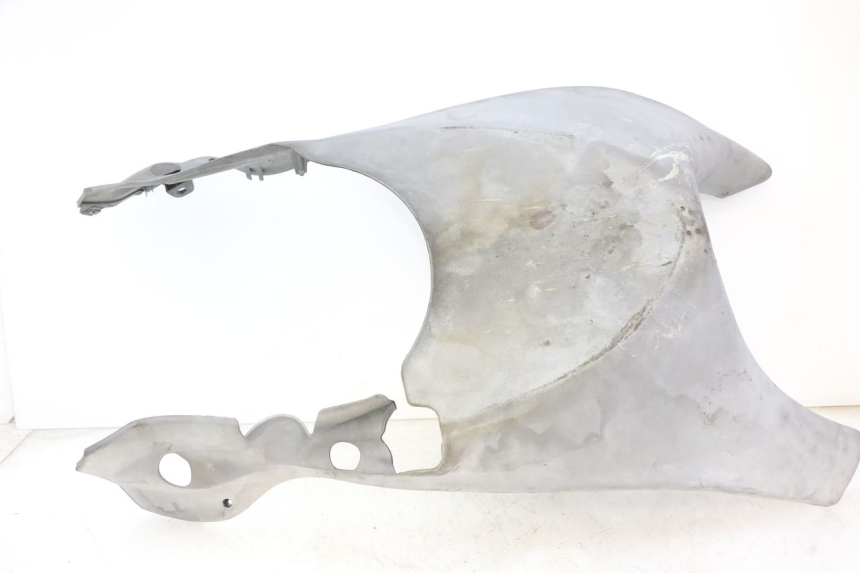 photo de progi boczne PIAGGIO X9 EVOLUTION 125 (2003 - 2007) - Widok główny