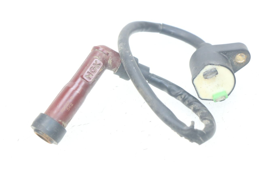 photo de CEWKA PEUGEOT KISBEE 4T 50 (2010 - 2017) - Widok główny