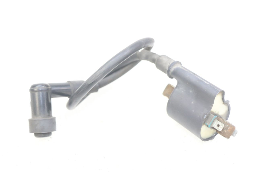 photo de CEWKA HONDA NHX LEAD 110 (2008 - 2010) - Widok główny