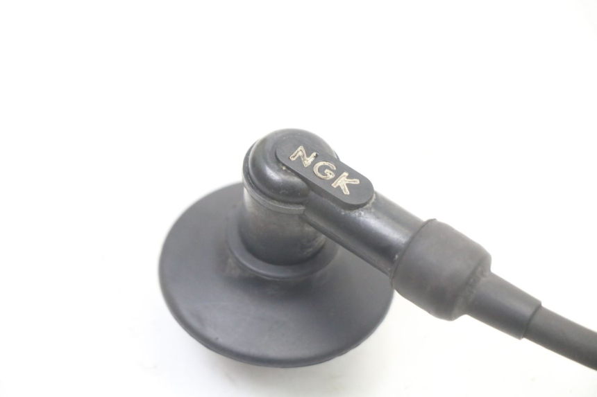 photo de CEWKA PEUGEOT ELYSTAR 50 (2002 - 2014) - Widok ogólny