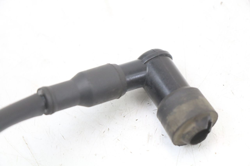 photo de CEWKA TNT MOTOR ROMA 10' 2T 50 (2011 - 2018) - Widok ogólny