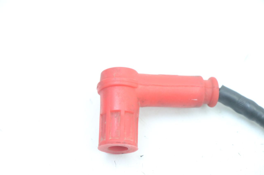 photo de CEWKA SMALL MX THUNDER 250 - Szczegół części