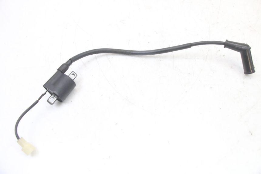 photo de CEWKA TNT MOTOR ROMA 10' 2T 50 (2011 - 2018) - Widok główny