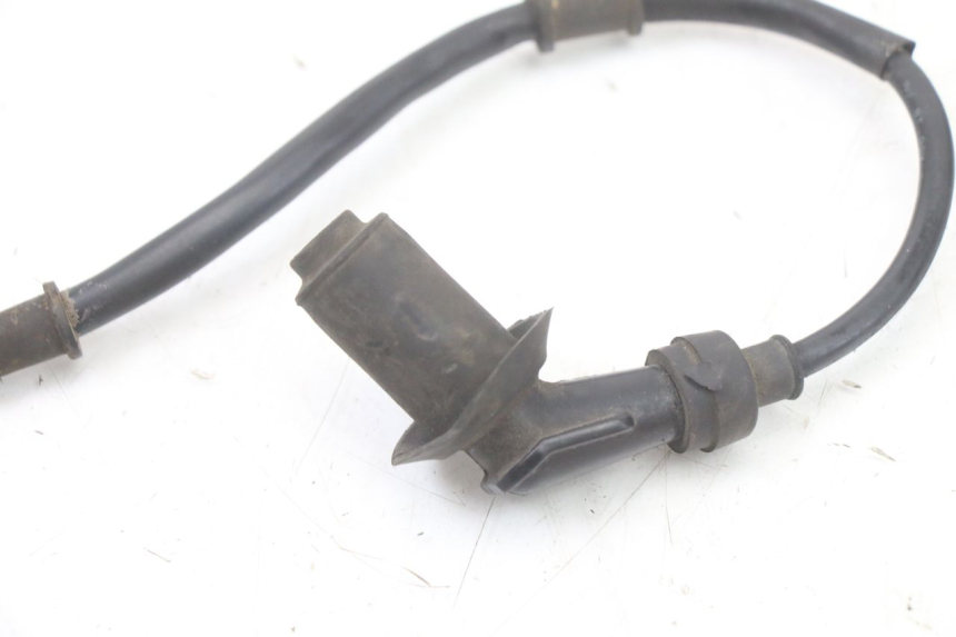 photo de CEWKA TNT MOTOR ROMA 10' 4T 50 (2019 - 2022) - Widok ogólny