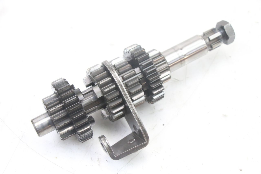 photo de SKRZYNIA BIEGÓW MBK X-LIMIT XLIMIT 50 (2007 - 2012) - Zbliżenie techniczne