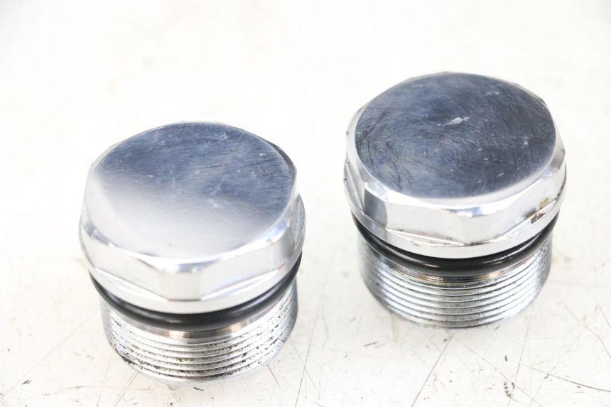 photo de ZAŚLEPKA WIDEŁEK HARLEY DAVIDSON SPORTSTER XL CUSTOM 1200 (2003 - 2004) - Widok główny