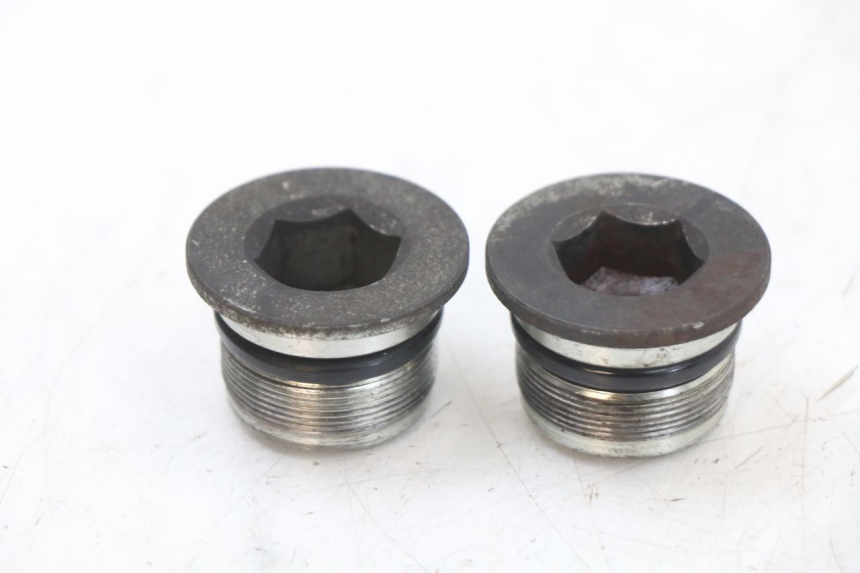 photo de ZAŚLEPKA WIDEŁEK PIAGGIO X10 125 (2012 - 2017) - Widok główny