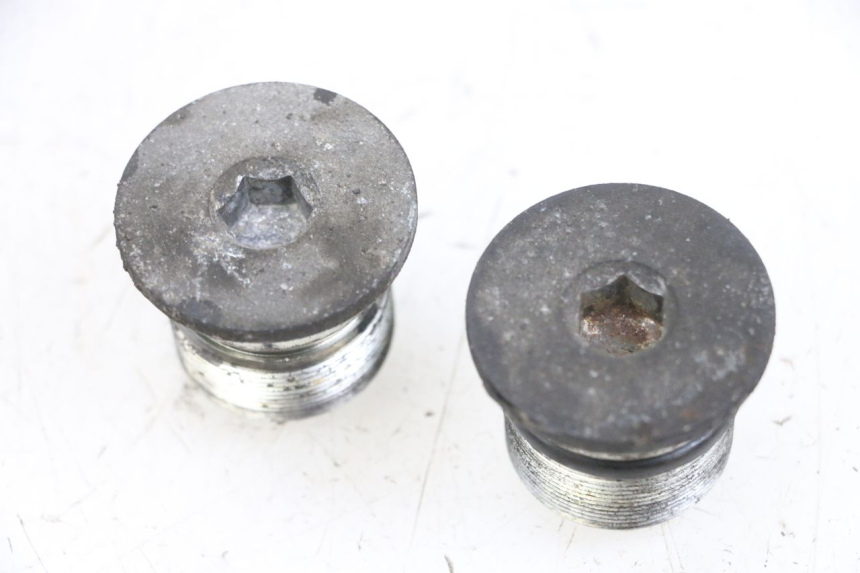 photo de ZAŚLEPKA WIDEŁEK PIAGGIO X8 125 (2004 - 2007) - Widok główny