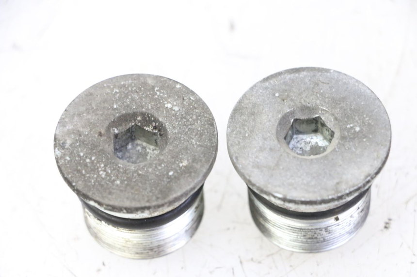 photo de ZAŚLEPKA WIDEŁEK PIAGGIO X9 EVOLUTION 125 (2003 - 2007) - Widok główny