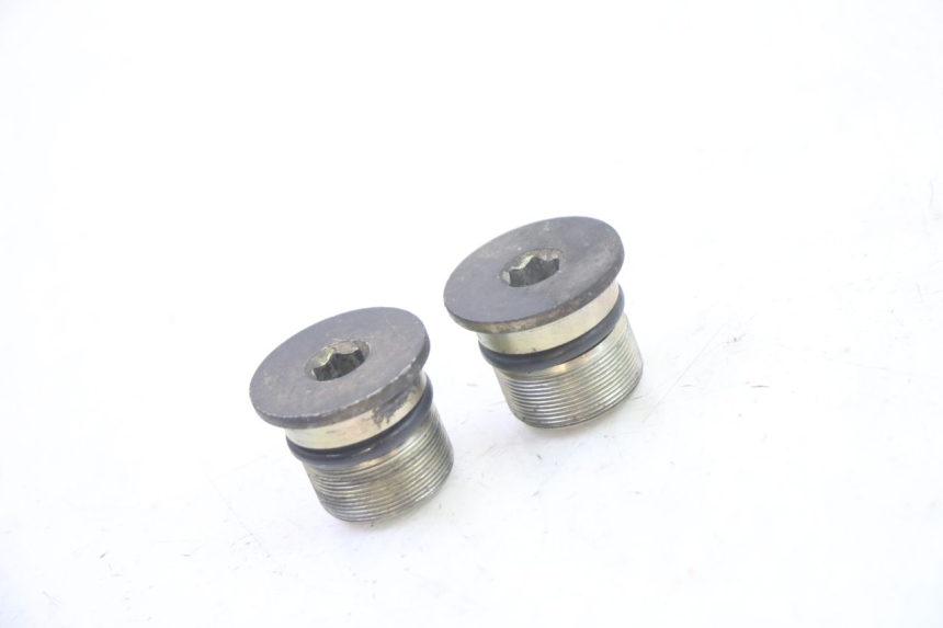 photo de ZAŚLEPKA WIDEŁEK PIAGGIO X9 EVOLUTION 125 (2003 - 2007) - Widok główny