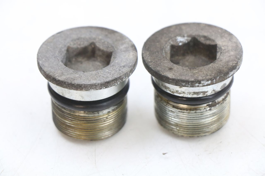 photo de ZAŚLEPKA WIDEŁEK PIAGGIO X9 125 (2000 - 2003) - Widok główny