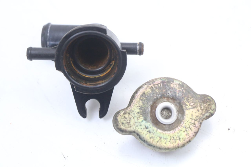 photo de KOREK CHŁODNICY HONDA FES PANTHEON 2T 125 (1998 - 2002) - Widok główny