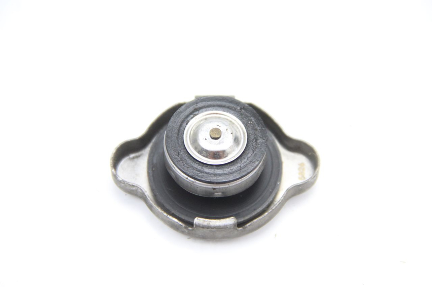 photo de KOREK CHŁODNICY HONDA FES PANTHEON 125 (2003 - 2007) - Zoom stanu zużycia