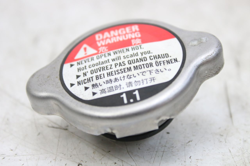 photo de KOREK CHŁODNICY HONDA FES S-WING SWING ABS 125 (2007 - 2015) - Widok główny