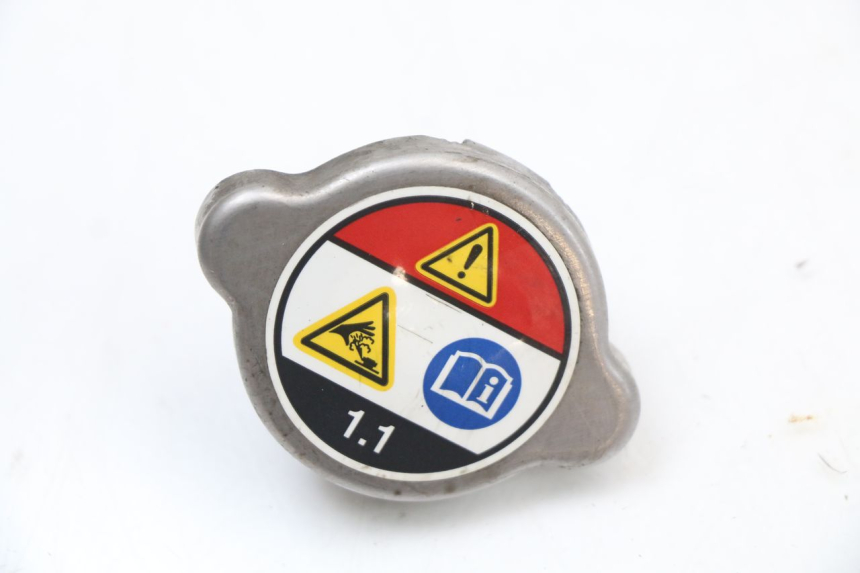 photo de KOREK CHŁODNICY HONDA FES S-WING SWING ABS 125 (2007 - 2015) - Widok główny