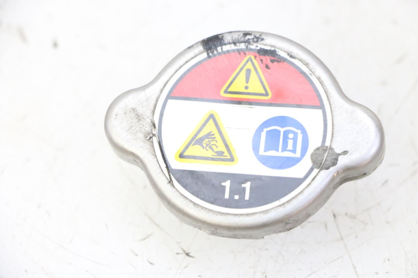 photo de KOREK CHŁODNICY HONDA FES S-WING SWING ABS 125 (2007 - 2015) - Widok główny