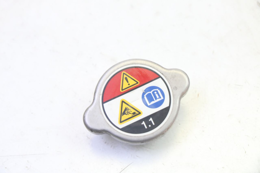 photo de KOREK CHŁODNICY HONDA FES S-WING SWING ABS 125 (2007 - 2015) - Widok główny