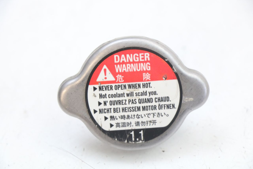 photo de KOREK CHŁODNICY HONDA FES S-WING SWING 125 (2007 - 2015) - Widok główny