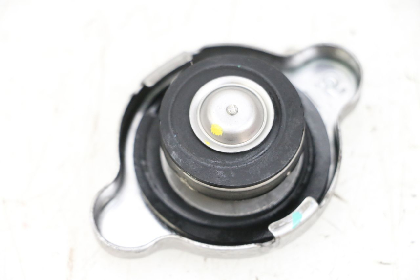 photo de KOREK CHŁODNICY BMW R GS 1250 (2021 - 2024) - Widok główny