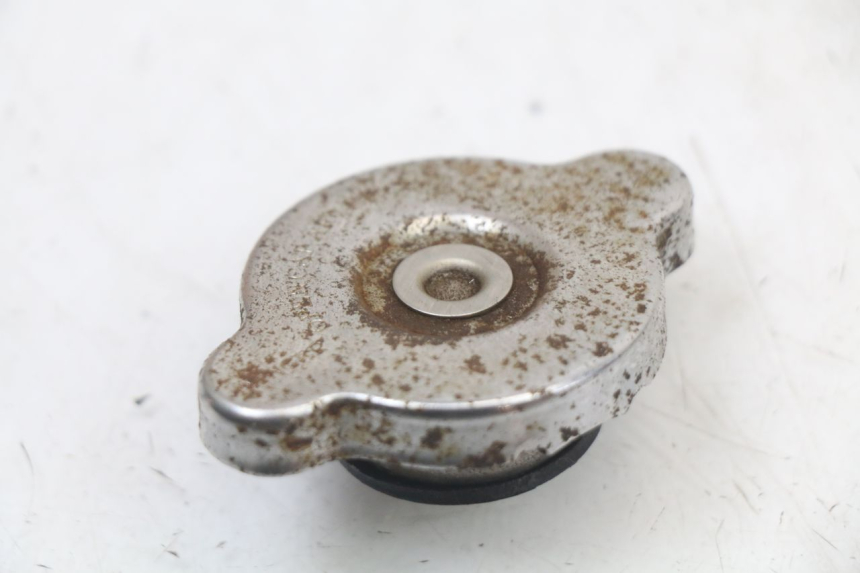 photo de KOREK CHŁODNICY REGAL RAPTOR SPYDER 125 (2010 - 2018) - Szczegół części