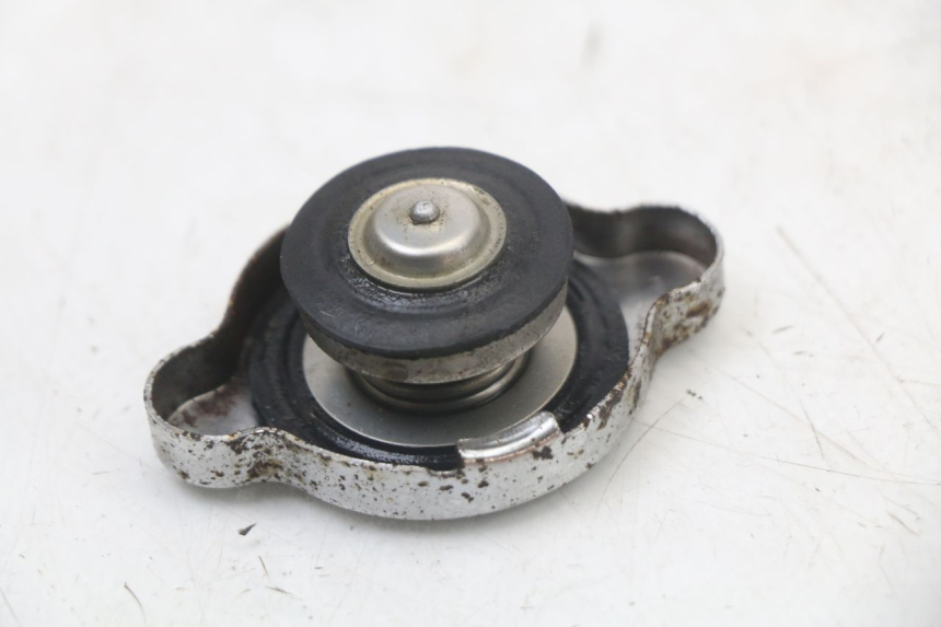 photo de KOREK CHŁODNICY REGAL RAPTOR SPYDER 125 (2010 - 2018) - Inny kąt widzenia