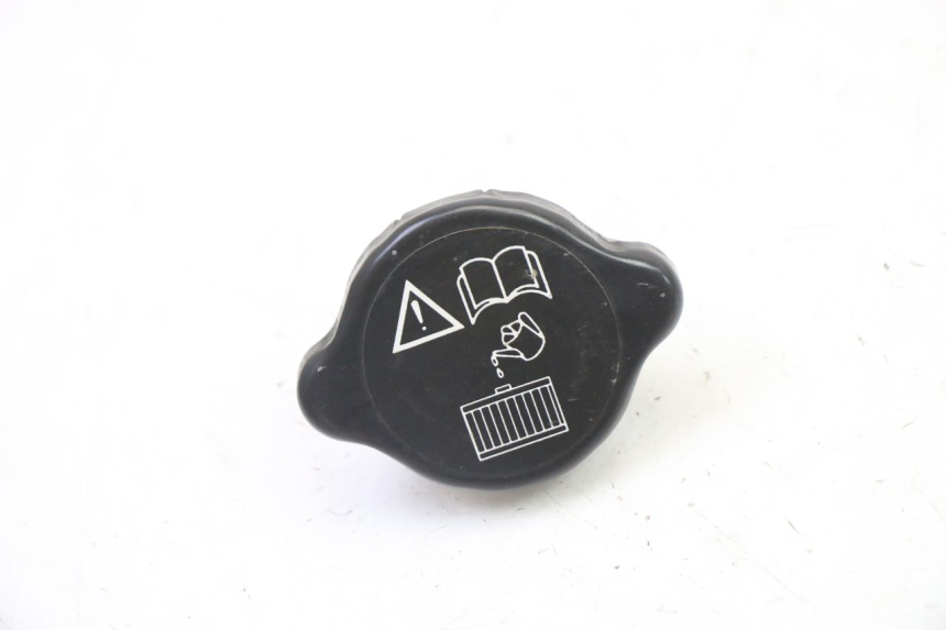 photo de KOREK CHŁODNICY TRIUMPH SPRINT 900 (1995 - 1998) - Widok główny