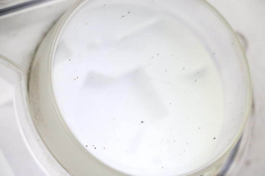 photo de Klosz licznika PEUGEOT SATELIS 250 (2006 - 2012) - Szczegół części