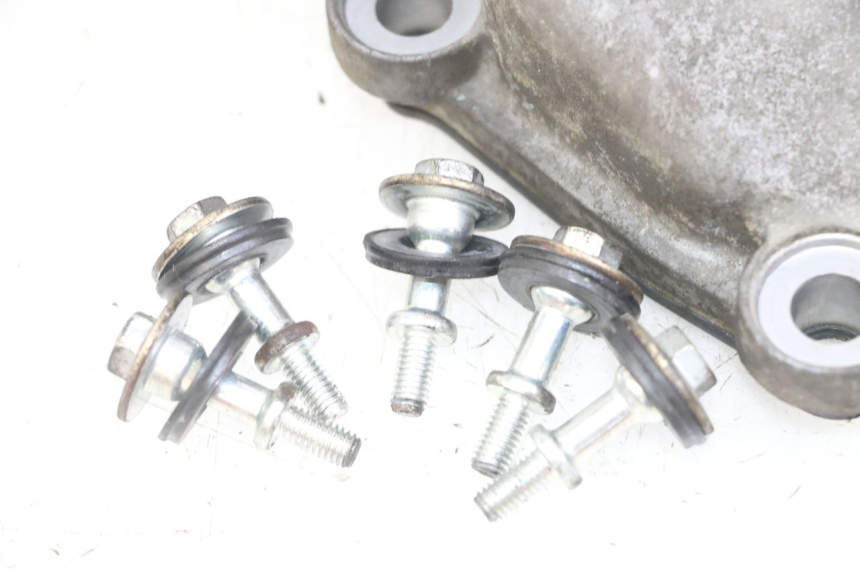 photo de OSŁONA DŹWIGNI ZAWORÓW PIAGGIO MP3 LT 300 (2010 - 2016) - Widok ogólny