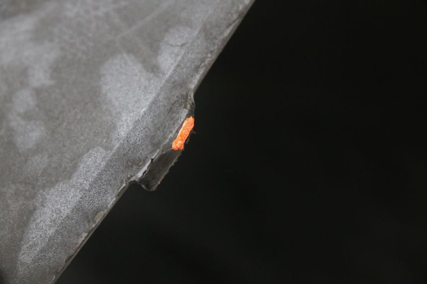 photo de OSŁONA POD SIEDZENIEM KYMCO AGILITY CARRY 50 (2011 - 2020) - Punkty mocowania