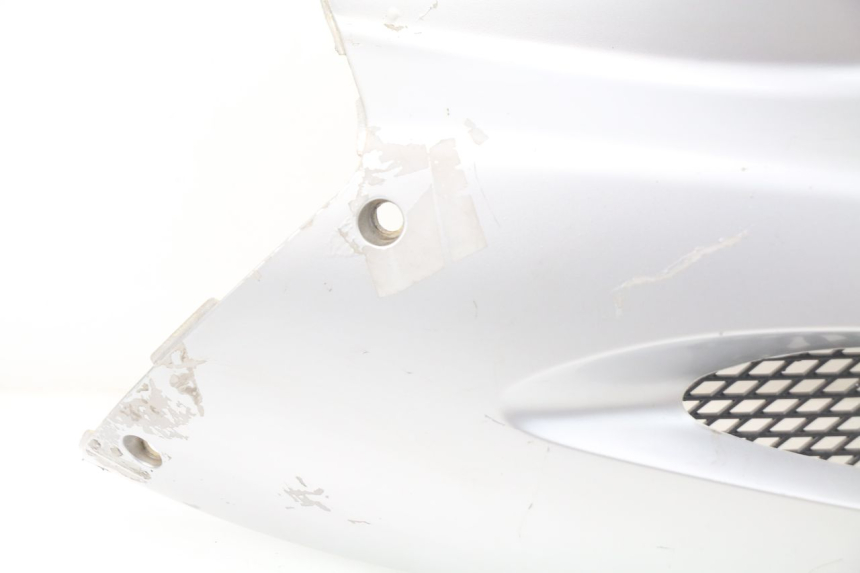 photo de OSŁONA POD SIODŁEM PRAWA LINTEX FEVER 2T 50 (2009 - 2022) - Szczegóły charakterystyczne